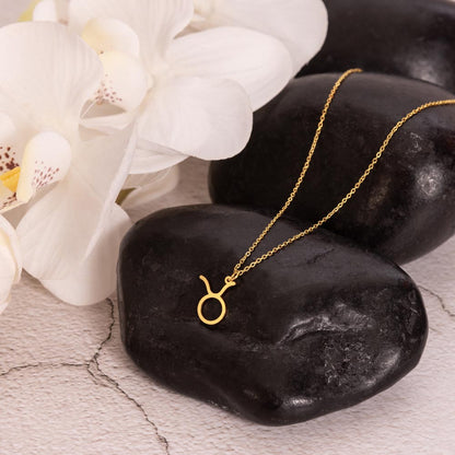 Zodiac Symbol Necklace